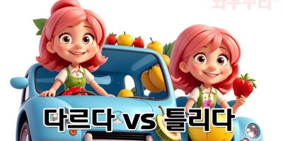 틀리다 다르다 차이 바른 표현