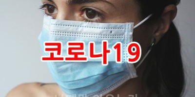 은평구 코로나 확진자 현황