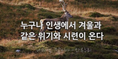 누구나 인생에서 겨울과 같은 위기와 시련이 오게 마련이다