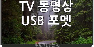 USB 포멧 TV에서 USB 재생 안될때