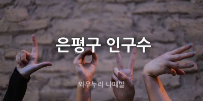 은평구 인구수 대한민국 인구수