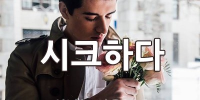 시크하다 시니컬하다