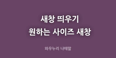 새창 띄우기 일정시간이 흐른뒤 새창이 띄워지는