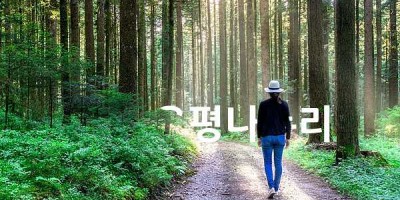 은평구 11월11일 야간걷기 행사