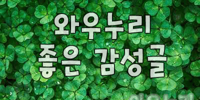 좋은 감성글 행복이란 결국엔 공기입니다
