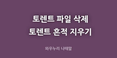토렌트 삭제하기 AppData 안보일
