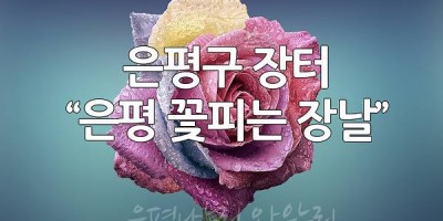은평구 꽃피는 장날
