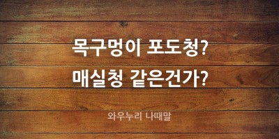 속담풀이 목구멍이 포도청 뜻