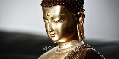 부처님의 일생 에니감상