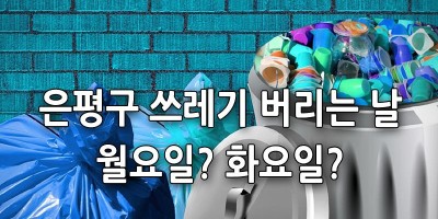 은평구 쓰레기 버리는 날