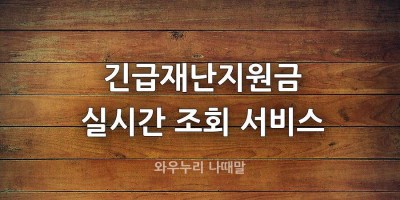 긴급재난지원금 조회 서비스